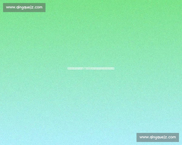 从产品对决到品牌较量VS与BB核心差异与未来走向全解析深度版 从产品对决到品牌较量VS与BB核心差异与未来走向全解析深度版